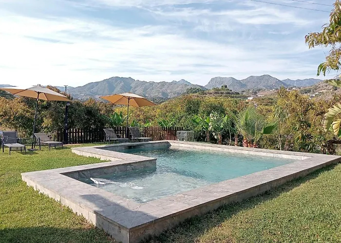 Aguacate Willa Nerja